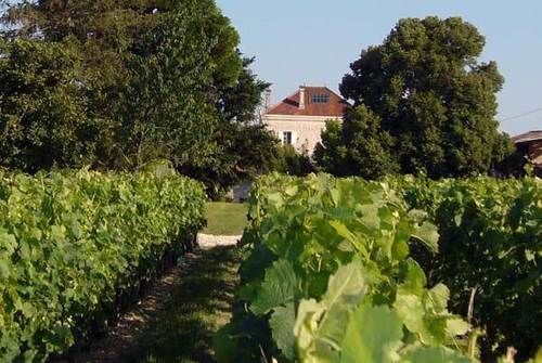 Domaine De Quittignan Brillette Hotel Moulis-en-Medoc Luaran gambar